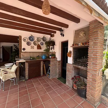 Villa Olivos Malaga