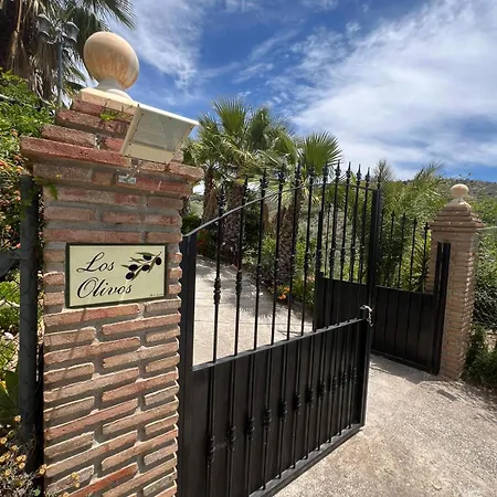 Olivos